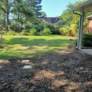 Variety Tree Services