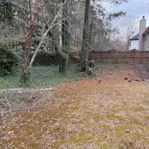 The Tree Spot Tree Service