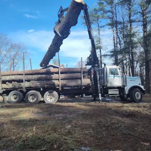 Timber Falls Tree Care