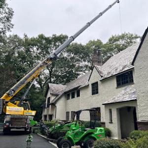 Top Notch Tree Service