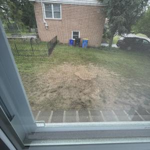 Woody’s Tree Service