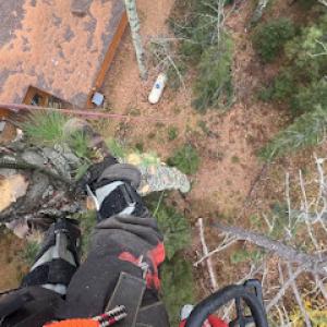 Red Beard - Tree Removal & Land Clearing Northern Minnesota