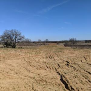 Double L Land clearing & tree excavation