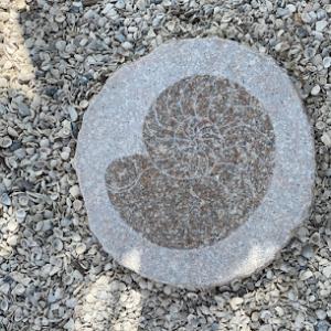 Millennium Lawn & Landscape