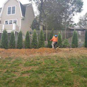 Fritz's Tree Service