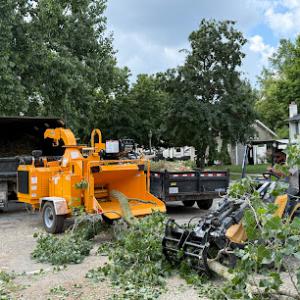Lansing Tree & Stump Removal