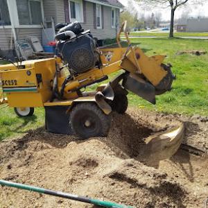 Woody's Stump Grinding
