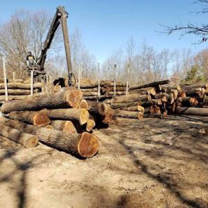 Williams Property Management