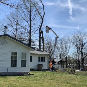 Countryside Tree Service