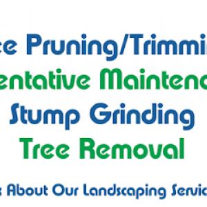 Atlantic Tree Care