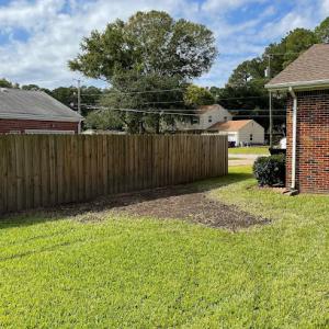 High Top Tree & Landscape