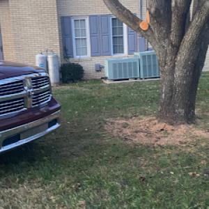 Huff's Tree Service & Handyman