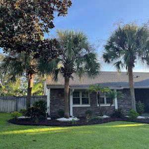 Premier Outdoor Tree Services