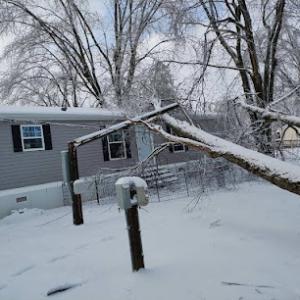 Storm Support Emergency Tree Removal