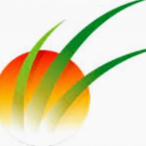 Sunworks Tree Services