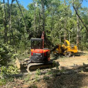 Chanax tree service & hardscape