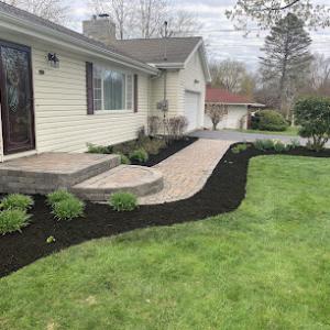 Perfection Tree Care & Services