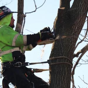 Jon's Tree Service