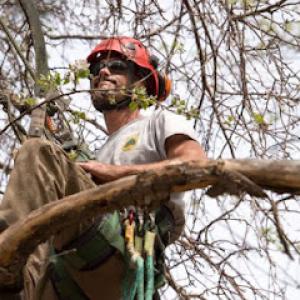 James Tree & Shrub Care