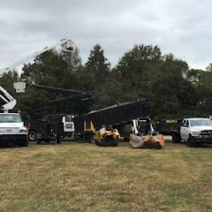 Steve's Tree & Hauling Service