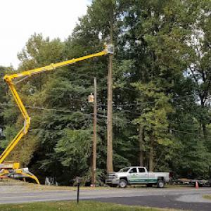 Premier Tree Service