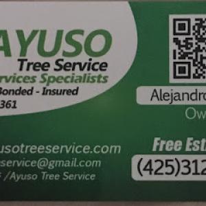 Ayuso Tree Service