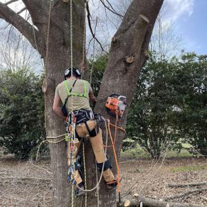 Ross Property Service