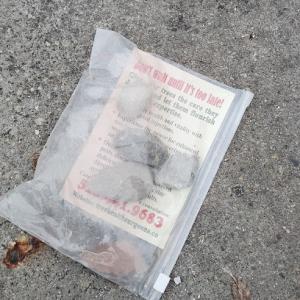 Tree Health Surgeon
