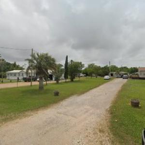 The Ultimate Tree Service