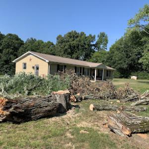 Treemendous Tree Service