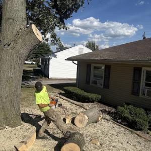 Fisher's Tree Care