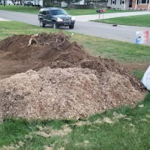 MidAmerica stump removal