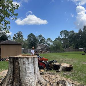 All Time Trees & Lawn care