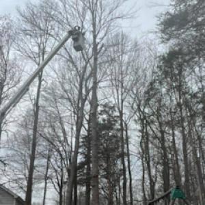 Four Seasons Tree & Landscaping Services