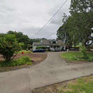 Chozen Gardens Trees, Fences, Concrete