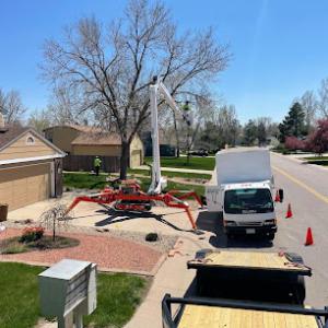 Lumber Jack & Jill Tree Service