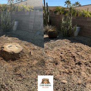 Stump Removal Arizona