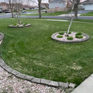 Patws Lawn Care Of New Lenox