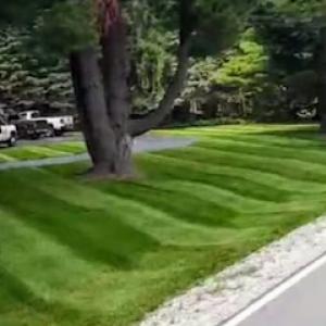 Thomas Lawn & Landscape