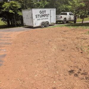 Steiner & Sons Stump Grinding