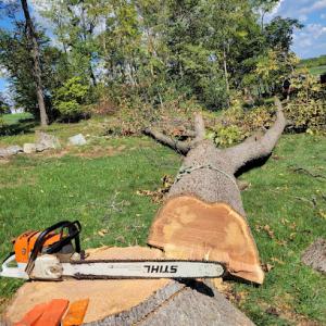 Valley Tree Services