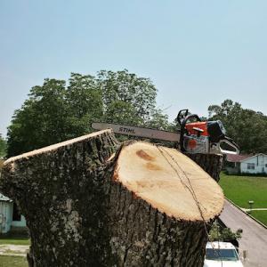 Harper's Tree Service