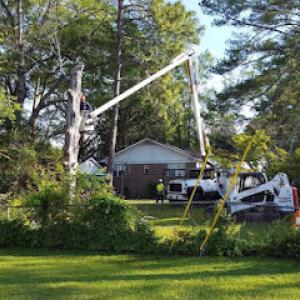 Keith's Tree Service