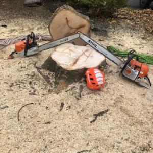 A&Y Landscaping & Tree Services