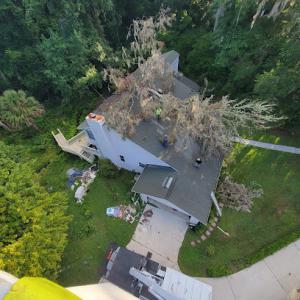 Gatorland Tree service