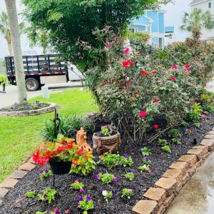 BTLS Galveston - Lawn Service