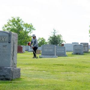 Sabia Landscaping & Tree Service