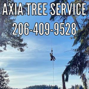 Axia Tree Service | Arborist in Lakebay & Gig Harbor, Washington