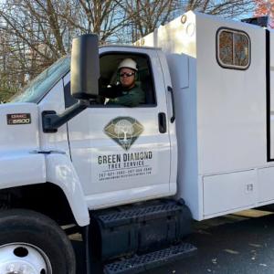 Green Diamond Tree Service & Landscaping