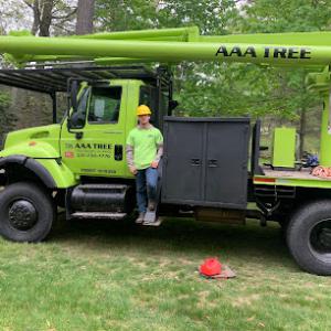 AAA Tree & Excavating